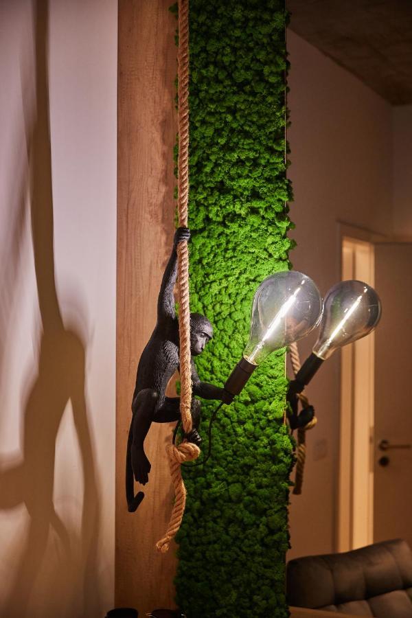 Quiboo Cosmopolit Apartment Brasov Bagian luar foto
